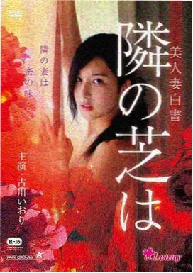 无人认领的行李 小说封面